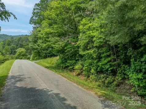 0000 Israel Road Brevard NC 28712