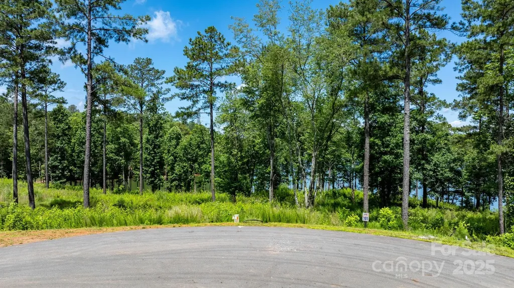 3085 Jumping Run Connelly Springs NC 28612