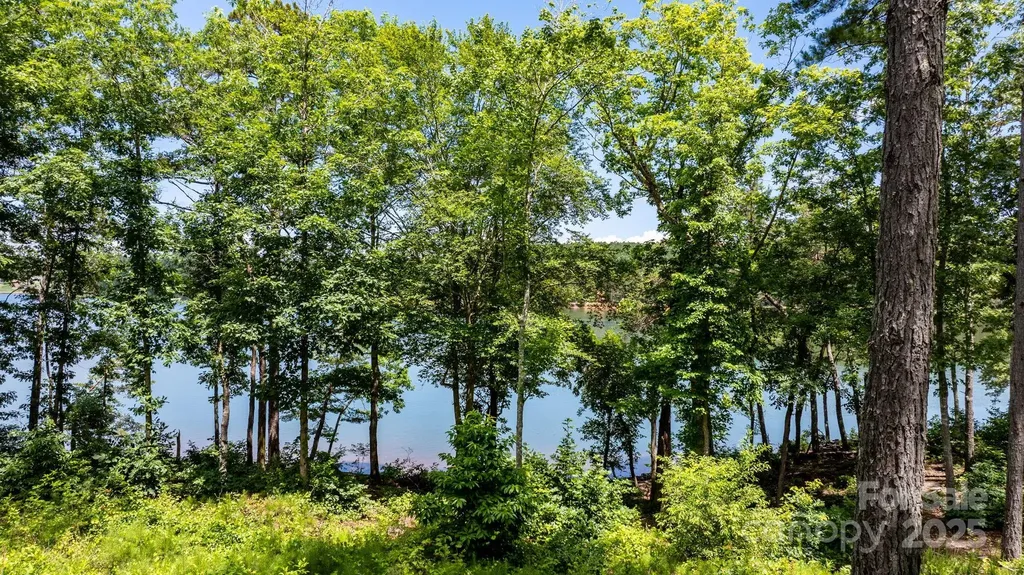 3085 Jumping Run Connelly Springs NC 28612