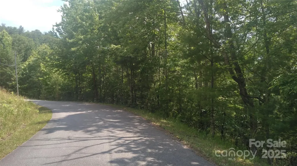 Lot 17 Deer Ridge Trail Marion NC 28752