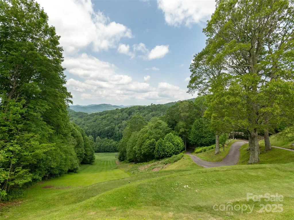 000 Tearshirt Lane Mars Hill NC 28754
