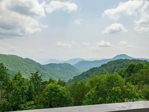 000 Tearshirt Lane Mars Hill NC 28754