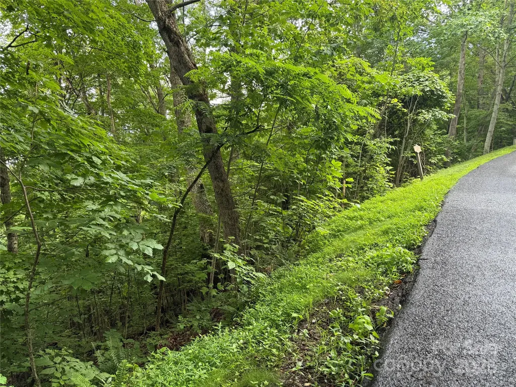 Lot 3 Heritage Ridge Loop Burnsville NC 28714