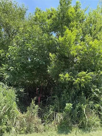 Lot 4 And 5 W Elliot Street Chester SC 29706