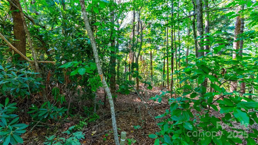 00 Glen Echo Circle Saluda NC 28773