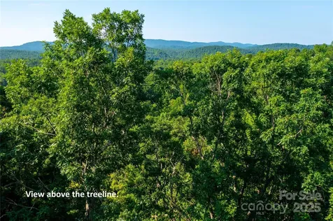 00 Glen Echo Circle Saluda NC 28773
