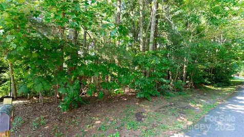 00 Glen Echo Circle Saluda NC 28773