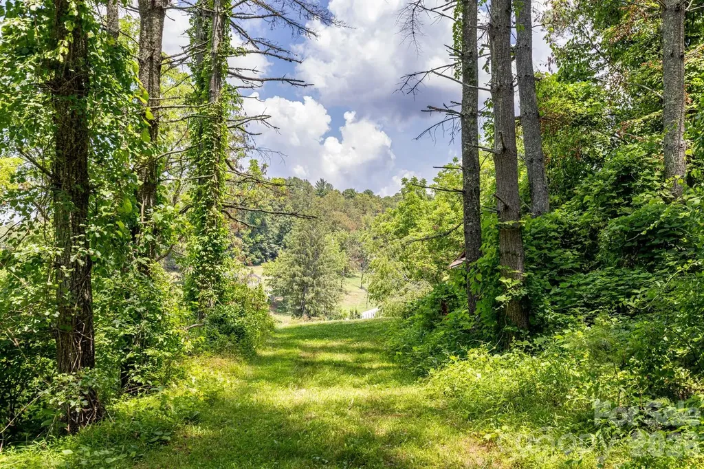160 Mclean Road Weaverville NC 28787
