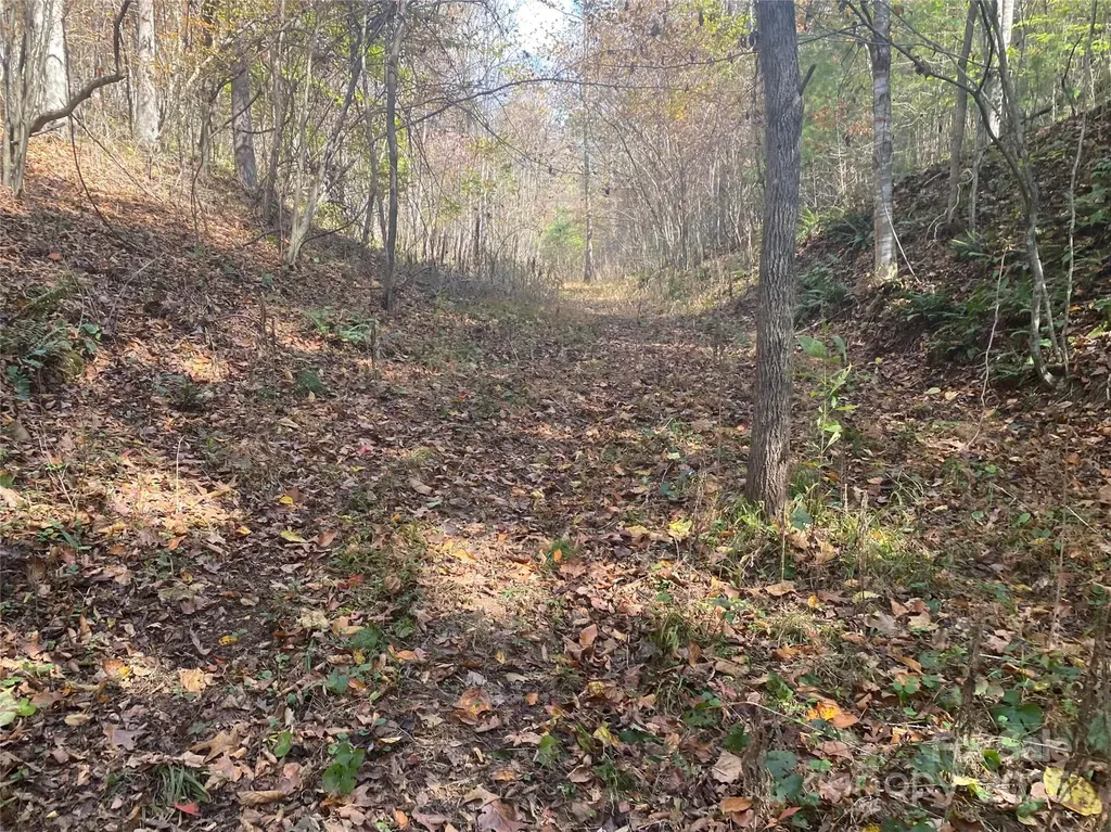 23 Lana Lane Burnsville NC 28714