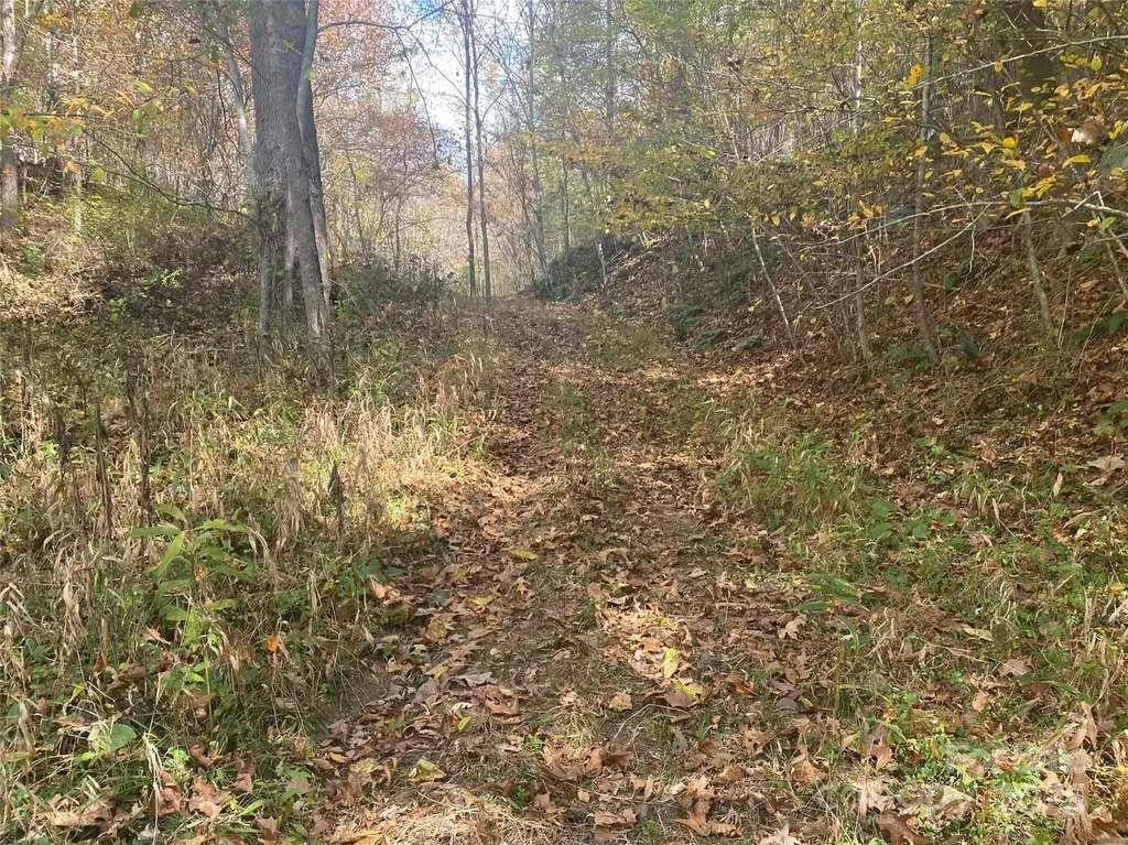 23 Lana Lane Burnsville NC 28714