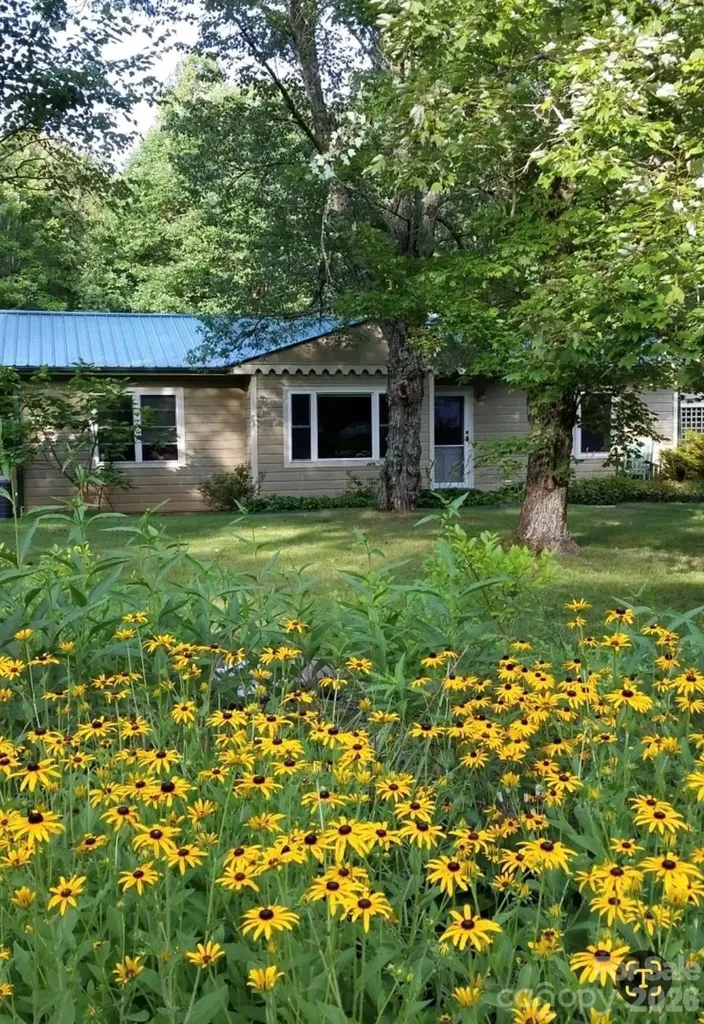75 Cisco Road Asheville NC 28805