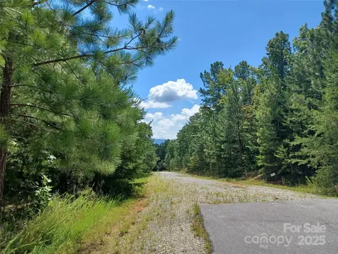 31 Hull Avenue Nebo NC 28761