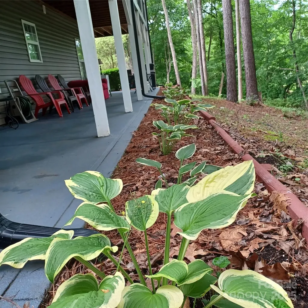 3645 Lake Bluff Drive Sherrills Ford NC 28763