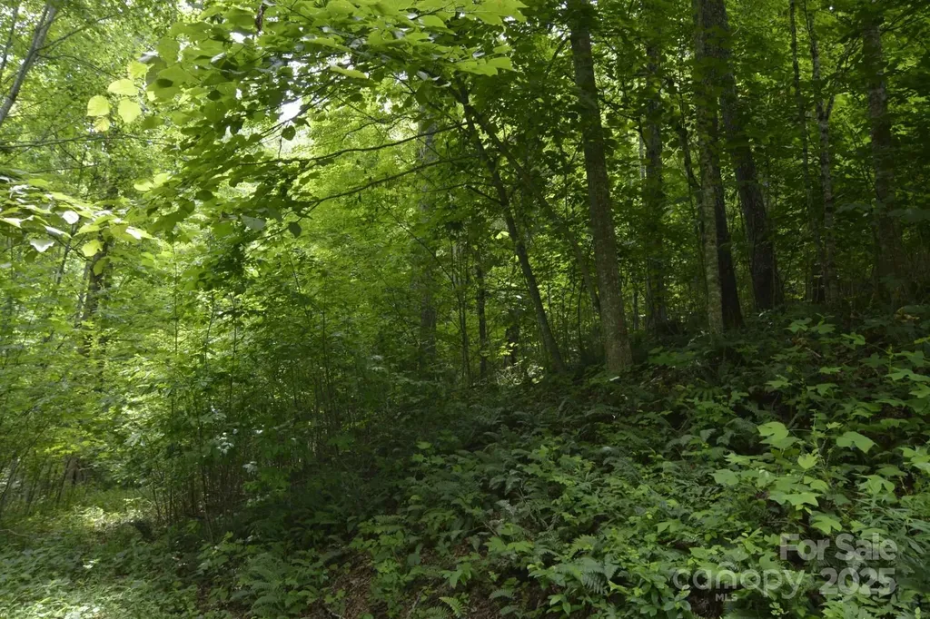 999 Red Wolf Run Mars Hill NC 28754