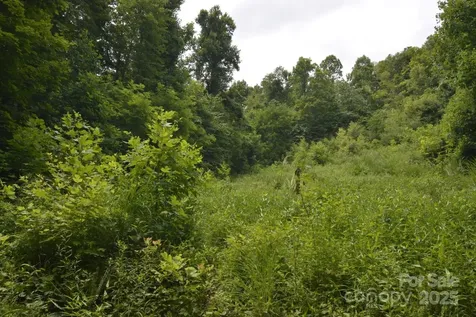 999 Red Wolf Run Mars Hill NC 28754