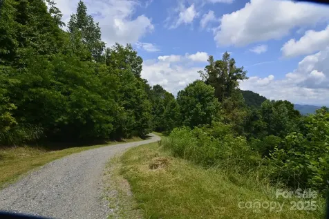 999 Red Wolf Run Mars Hill NC 28754