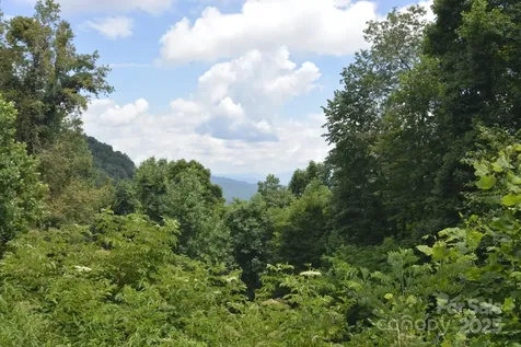 999 Red Wolf Run Mars Hill NC 28754