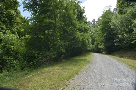 999 Red Wolf Run Mars Hill NC 28754