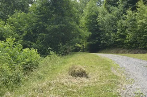 999 Red Wolf Run Mars Hill NC 28754