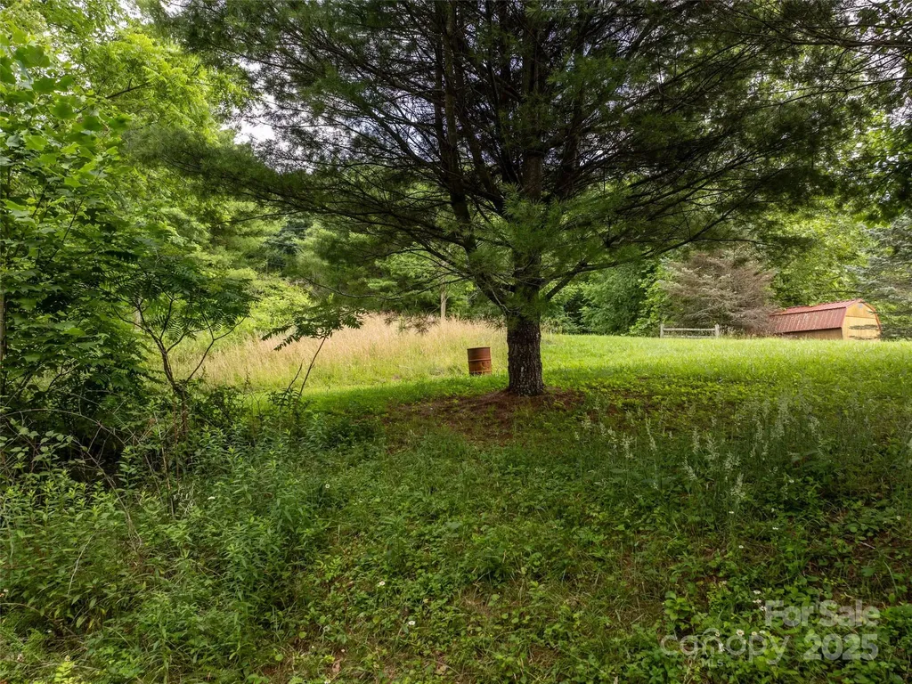 40 Sedgefield Place Clyde NC 28721