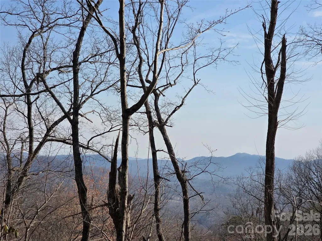 Lot 45 Ridgecrest Drive Lake Lure NC 28746