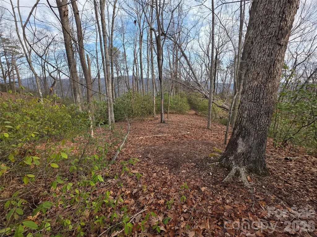 Lot 45 Ridgecrest Drive Lake Lure NC 28746