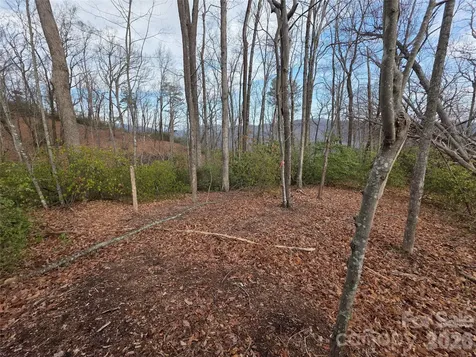 Lot 45 Ridgecrest Drive Lake Lure NC 28746