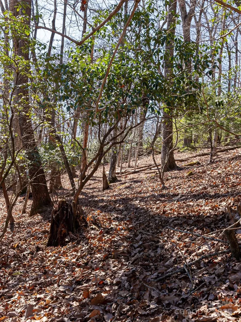27 Alpen Rose Way Mills River NC 28759
