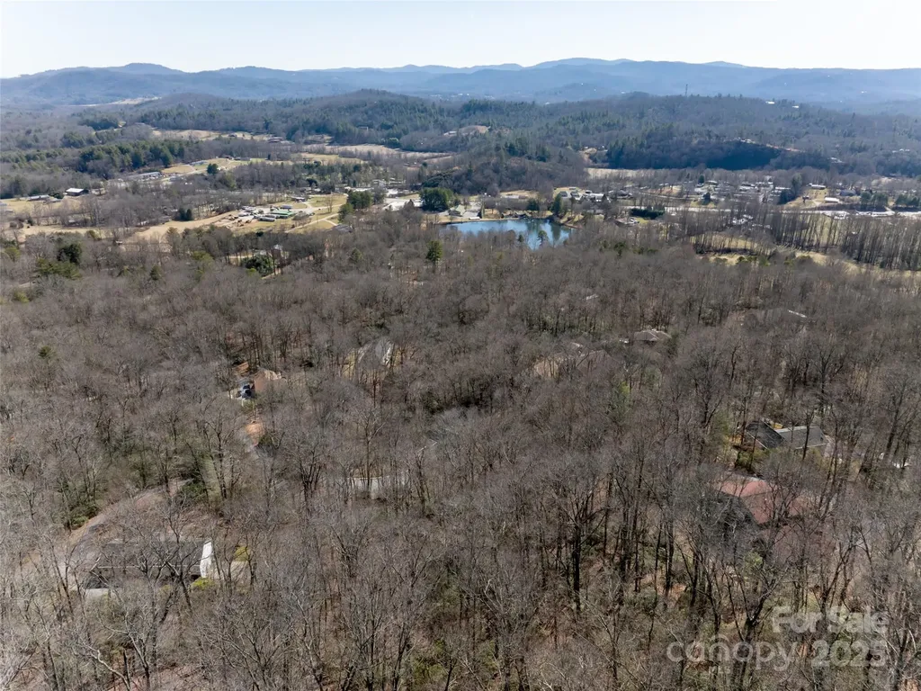27 Alpen Rose Way Mills River NC 28759