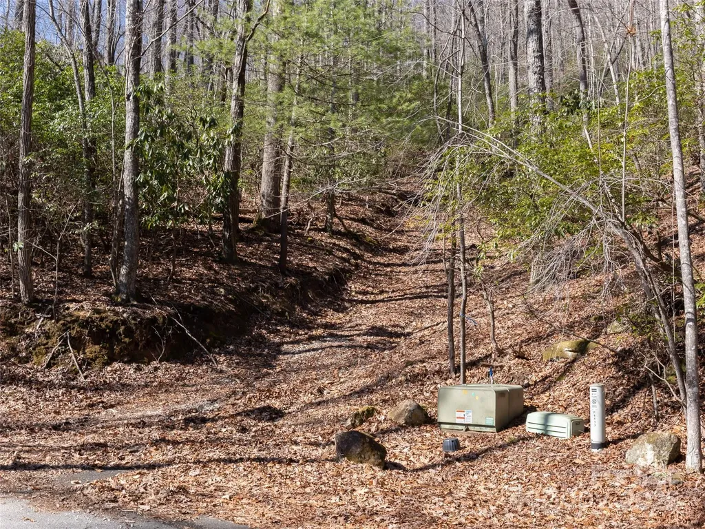 27 Alpen Rose Way Mills River NC 28759