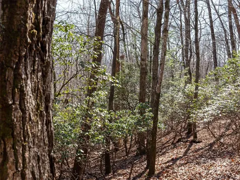 27 Alpen Rose Way Mills River NC 28759