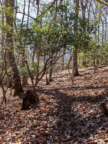 27 Alpen Rose Way Mills River NC 28759