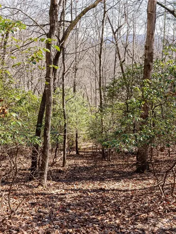 27 Alpen Rose Way Mills River NC 28759