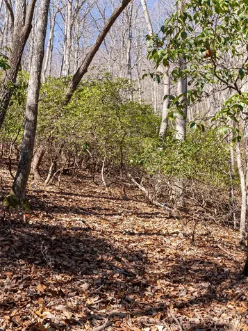 27 Alpen Rose Way Mills River NC 28759