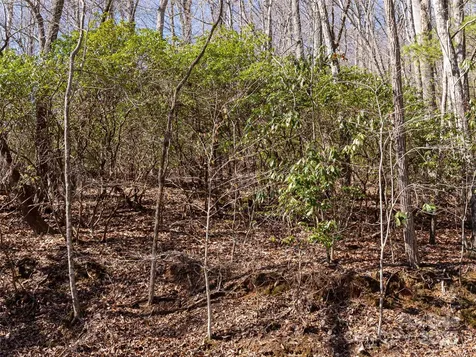 27 Alpen Rose Way Mills River NC 28759
