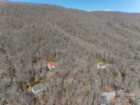 27 Alpen Rose Way Mills River NC 28759