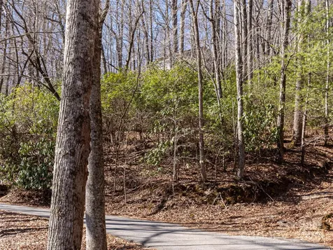 27 Alpen Rose Way Mills River NC 28759