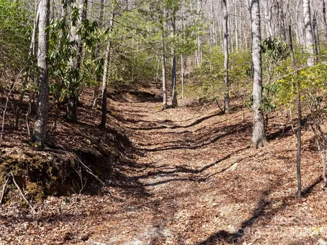 27 Alpen Rose Way Mills River NC 28759