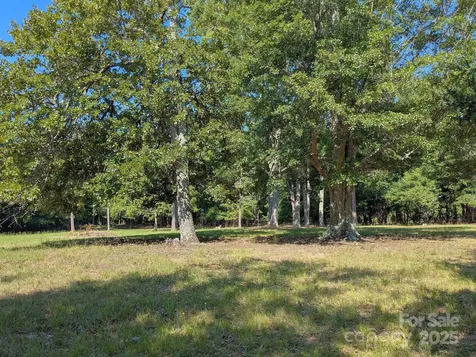 0000 Tract #1A Roddey Road Catawba SC 29704