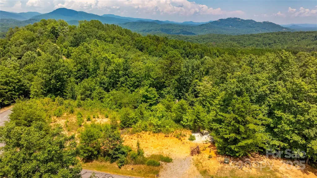 240 Boulder Ridge Lake Lure NC 28746