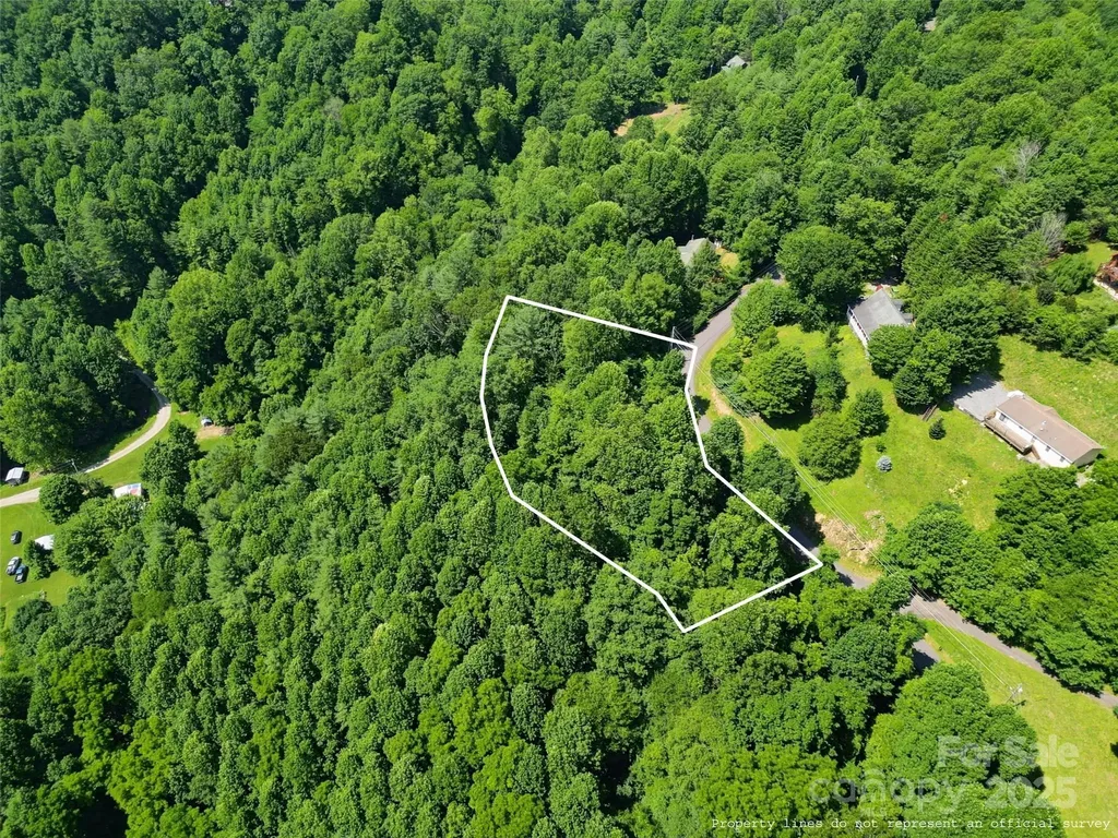 00 Point Of View Drive Waynesville NC 28785