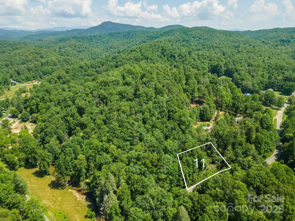 11 Roy Lane Black Mountain NC 28711
