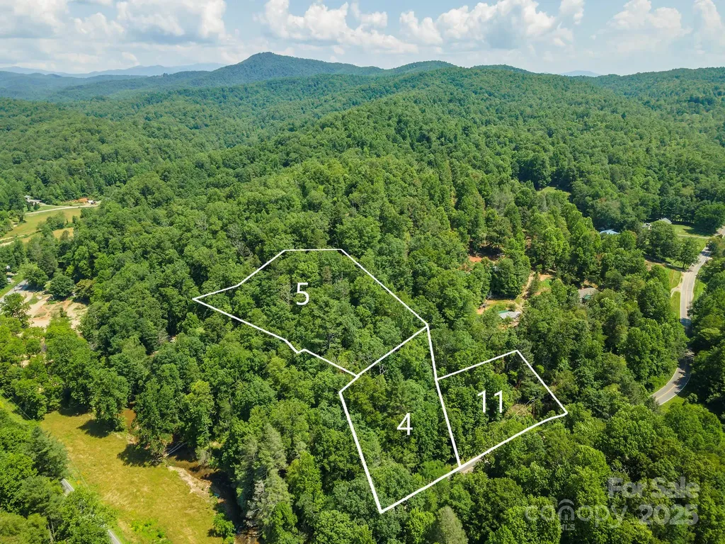 11 Roy Lane Black Mountain NC 28711