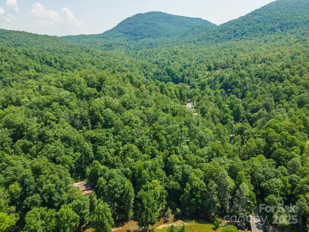 11 Roy Lane Black Mountain NC 28711