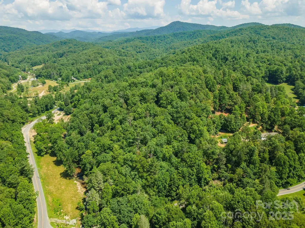 11 Roy Lane Black Mountain NC 28711
