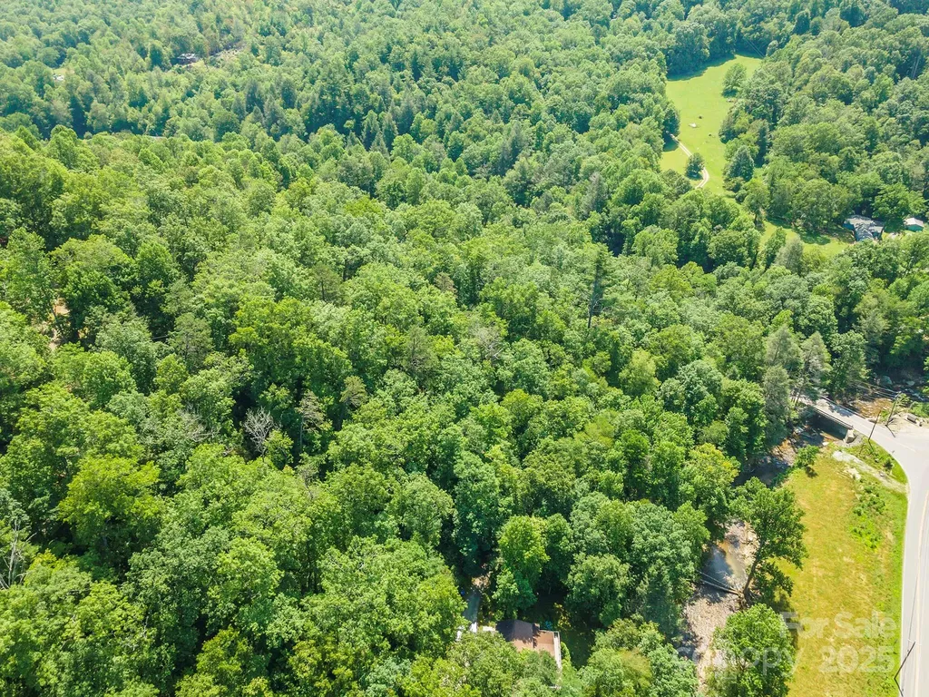 11 Roy Lane Black Mountain NC 28711