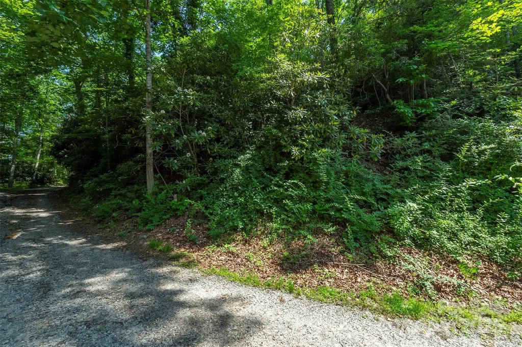 11 Roy Lane Black Mountain NC 28711