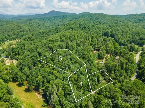 11 Roy Lane Black Mountain NC 28711