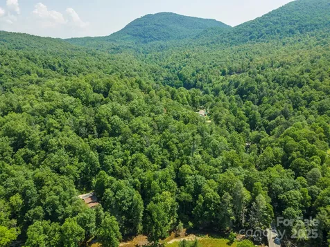11 Roy Lane Black Mountain NC 28711