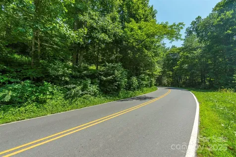 11 Roy Lane Black Mountain NC 28711